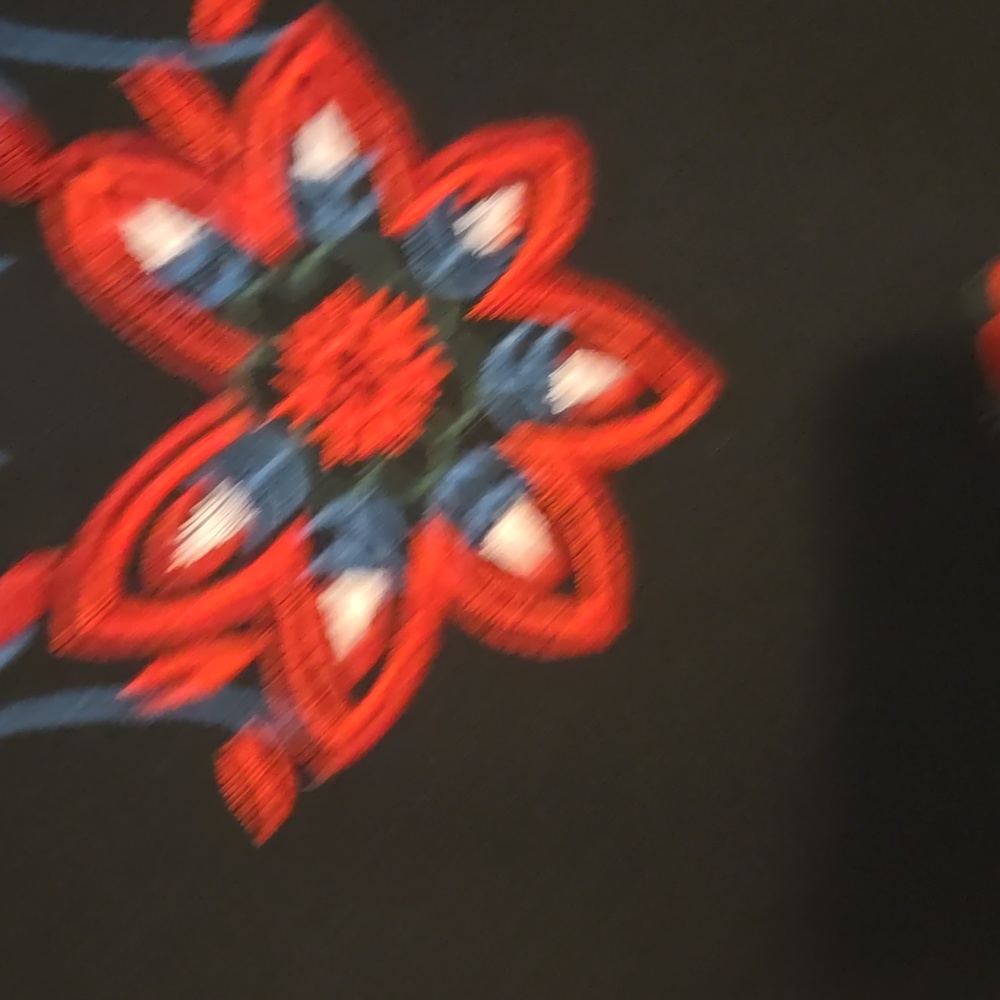 Zara Black Floral Embroidered Midi Dress Blogger Runway Fav - Picture 4 of 7
